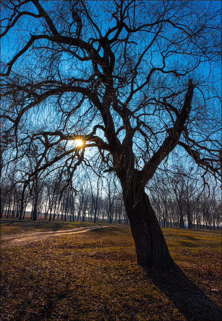 GuraCamencii Floresti 23022020 75