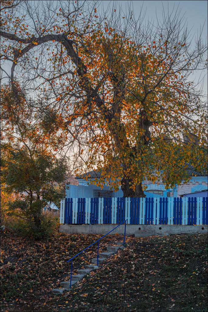 Rogojeni Tira Ghindesti 28122019 106