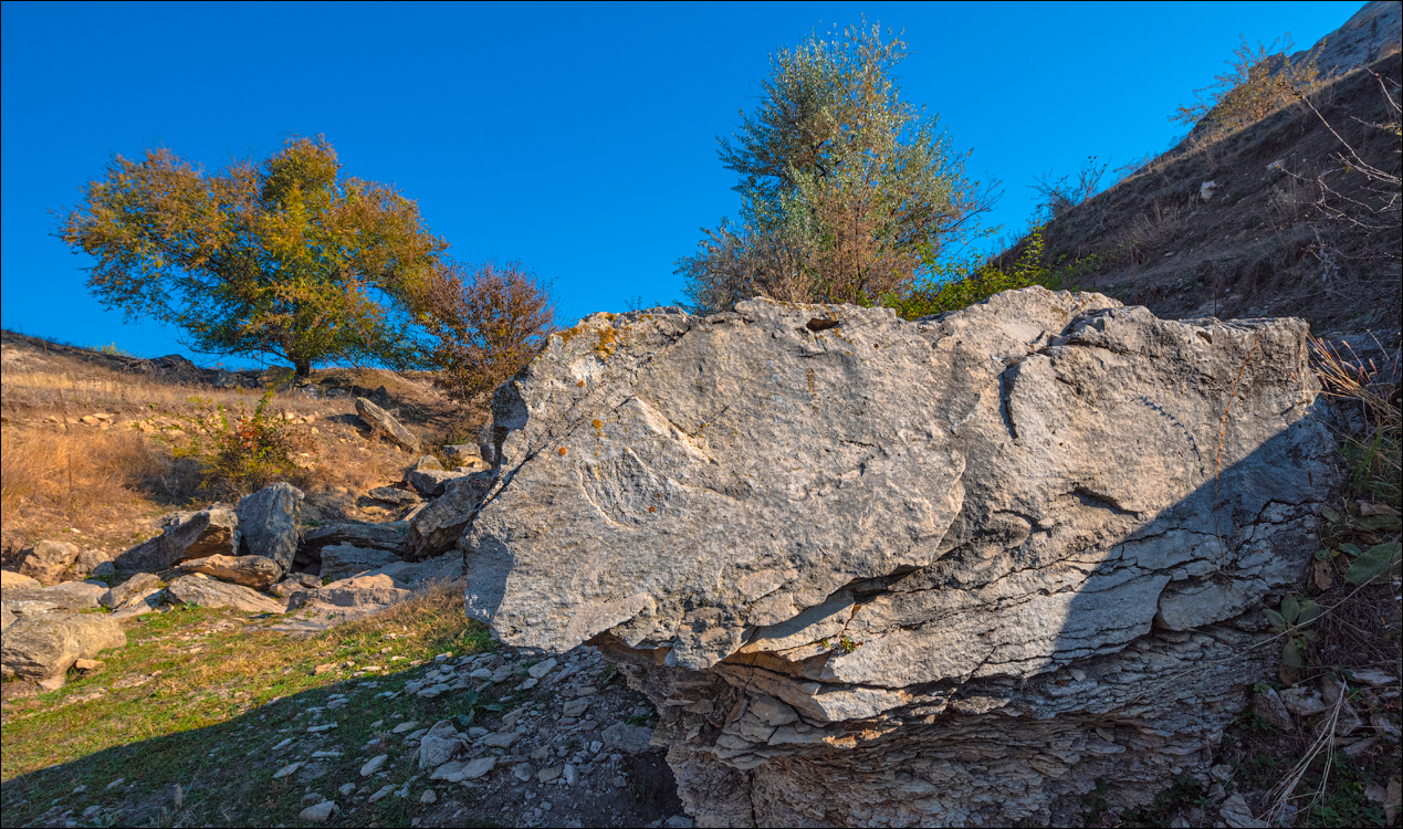 Rogojeni Tira Ghindesti 28122019 136