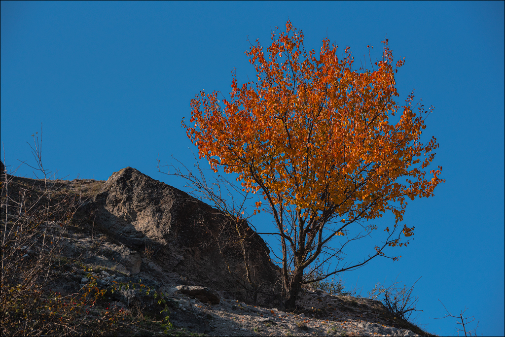 Rogojeni Tira Ghindesti 28122019 138