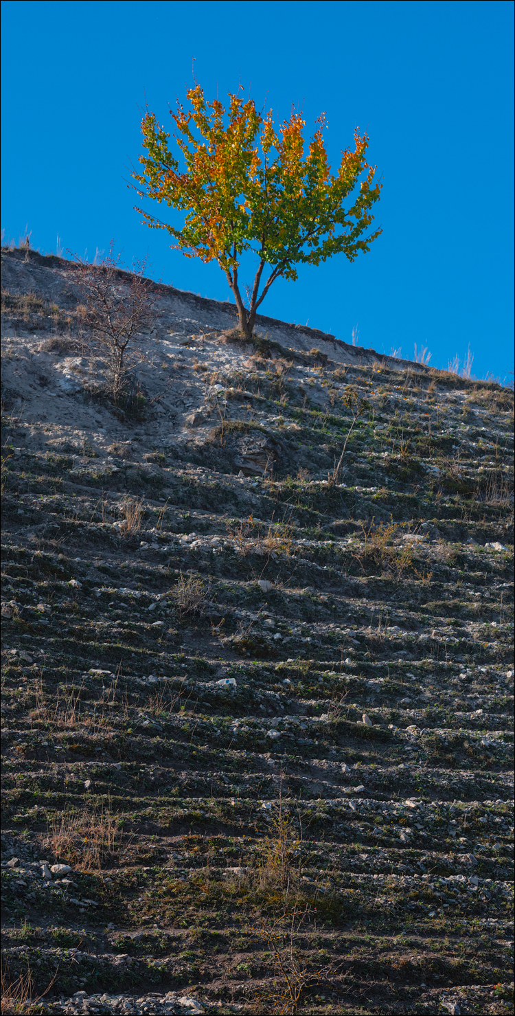 Rogojeni Tira Ghindesti 28122019 145