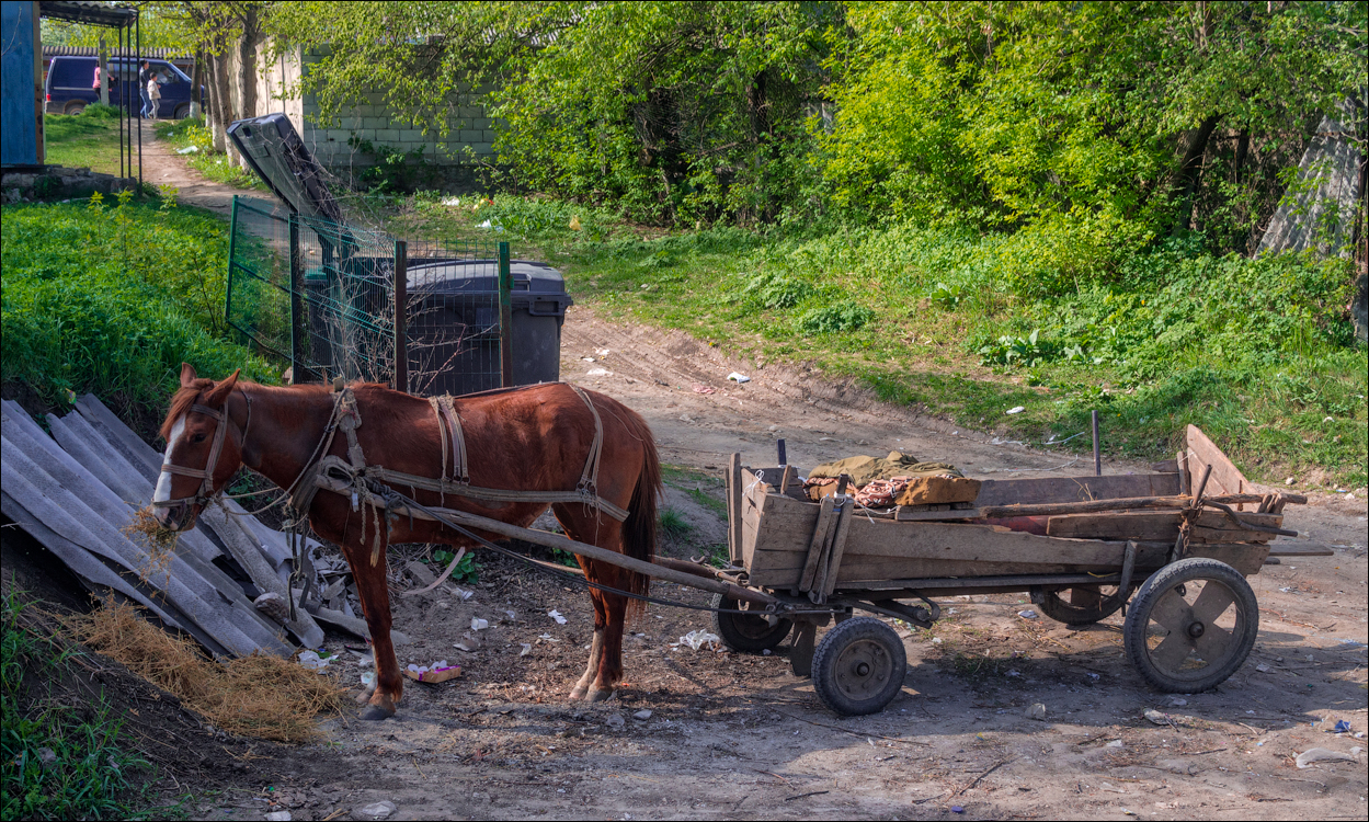 Soldanesti apr2018 00420180422