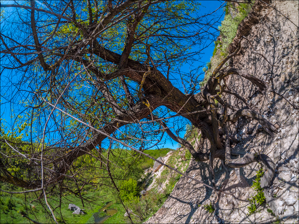 Soldanesti apr2018 03320180422