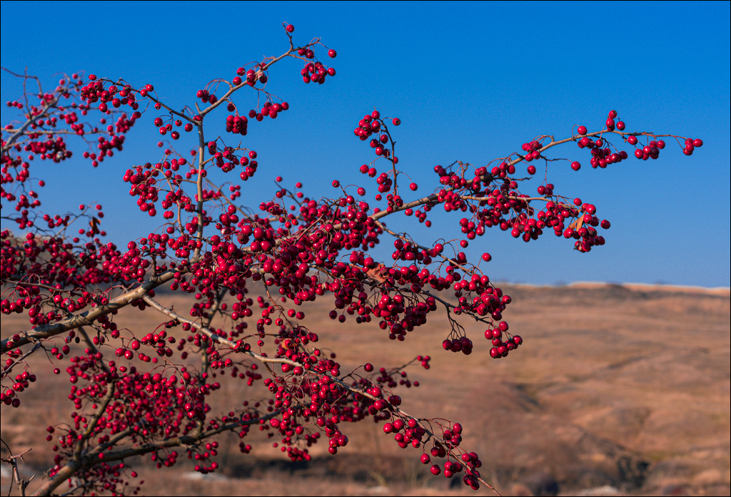 Trinca Gordinesti 29 30oct2021 118