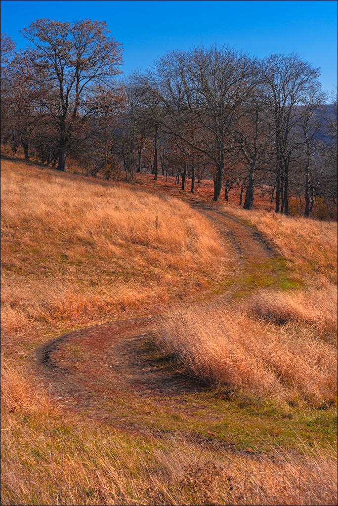 Trinca Gordinesti 29 30oct2021 130