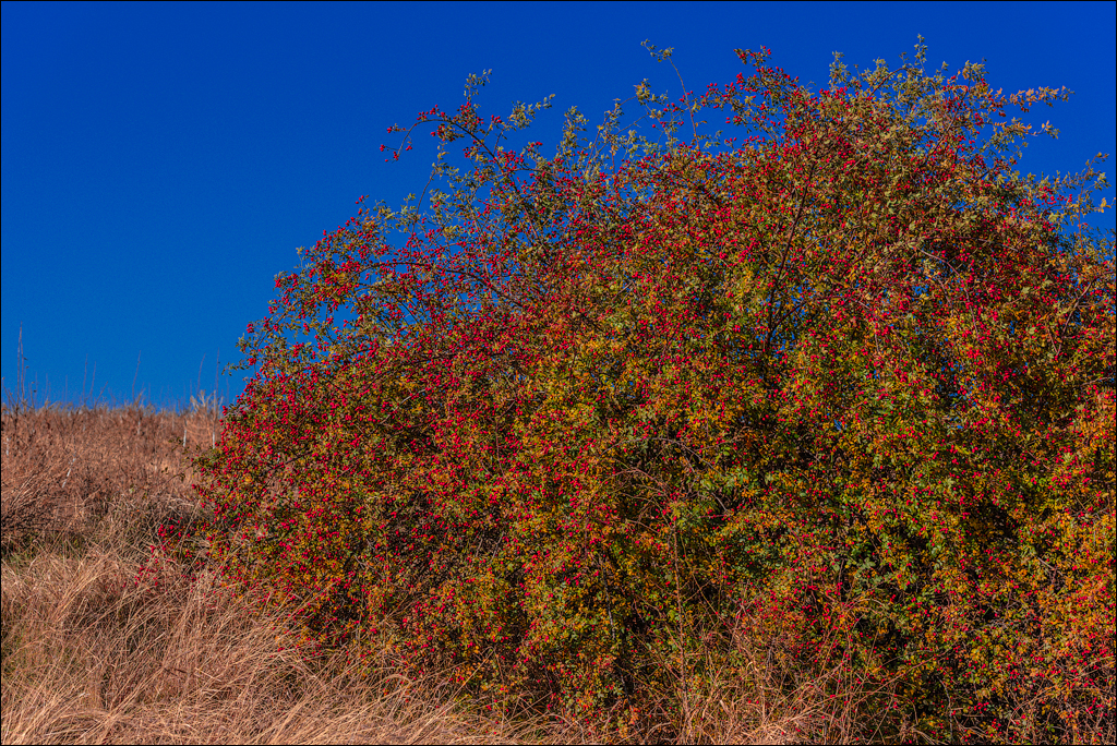Trinca Gordinesti 29 30oct2021 131