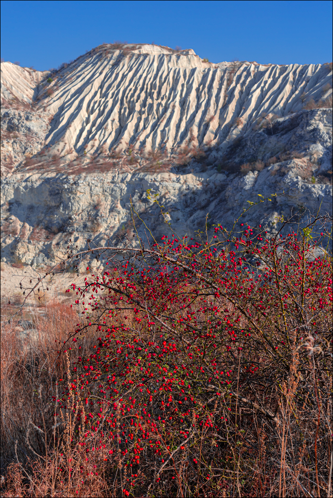 Trinca Gordinesti 29 30oct2021 137