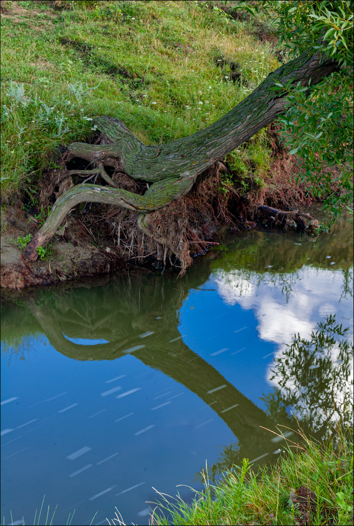 Burlanesti 20052006 111