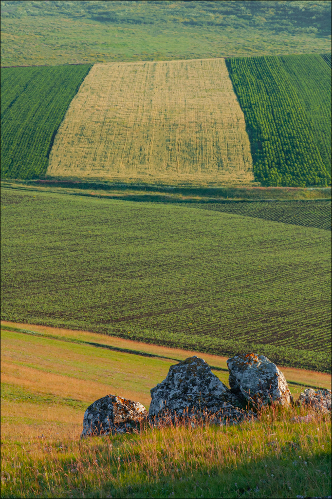 Burlanesti 20052006 128
