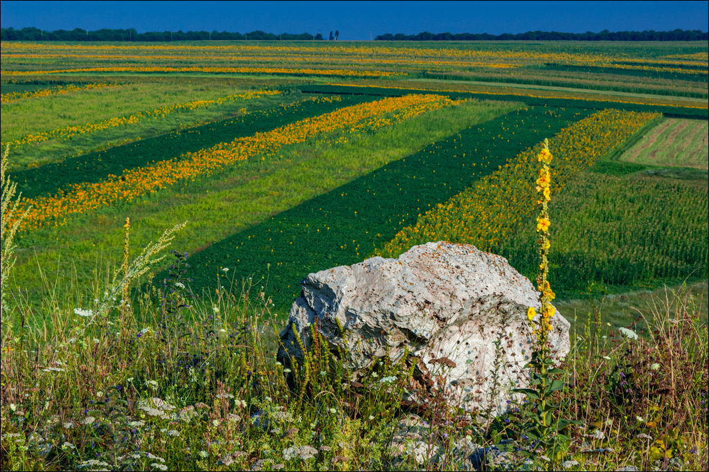 Burlanesti 20052006 133