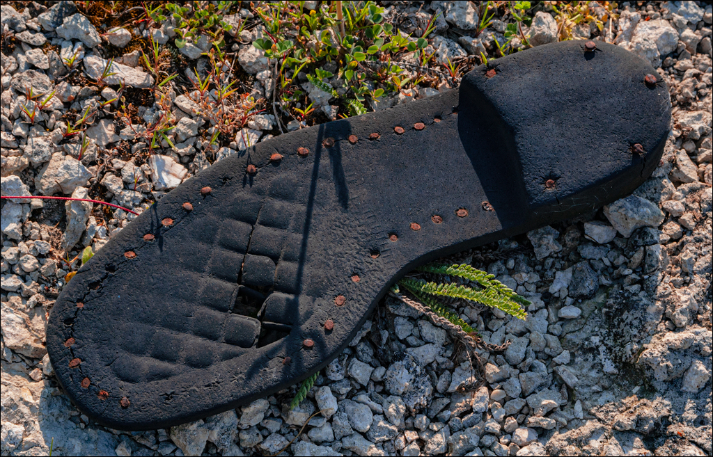 Burlanesti 20052006 147