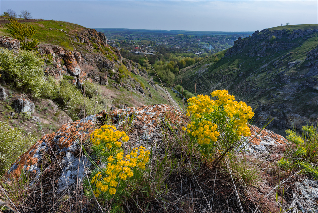Caracuseni Corjeuti Fetesti Gordinesti 20190427142