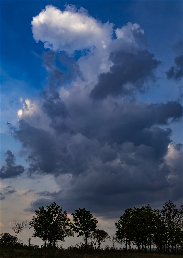 Caracuseni Corjeuti Fetesti Gordinesti 20190427158