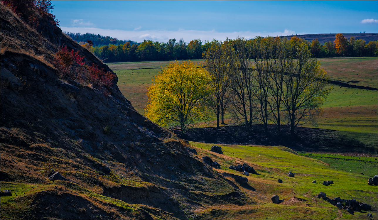Corjeuti Fetesti 20172016122618