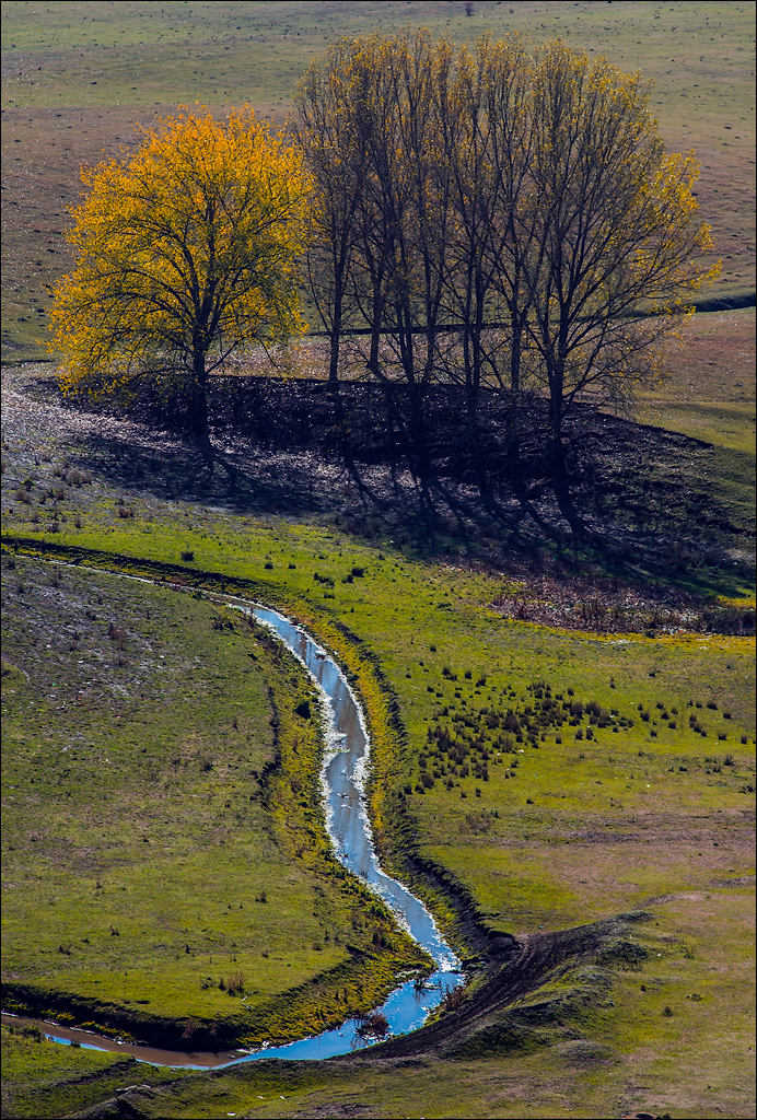 Corjeuti Fetesti 20172016122623