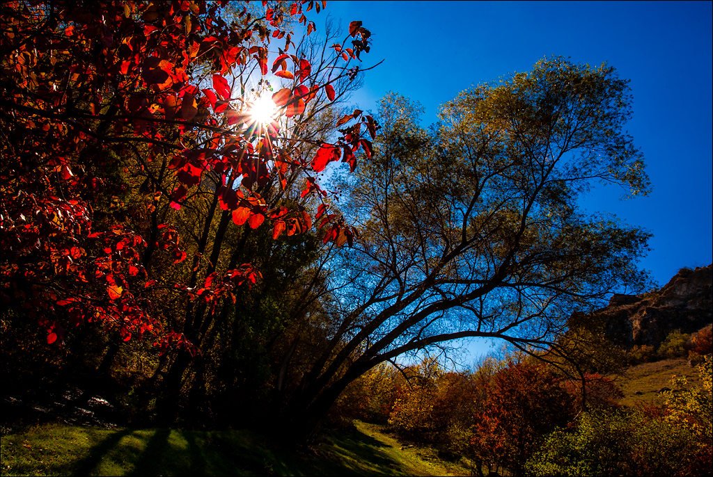 Corjeuti Fetesti 20172016122635