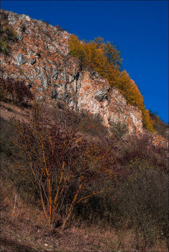 Corjeuti Fetesti 20172016122638