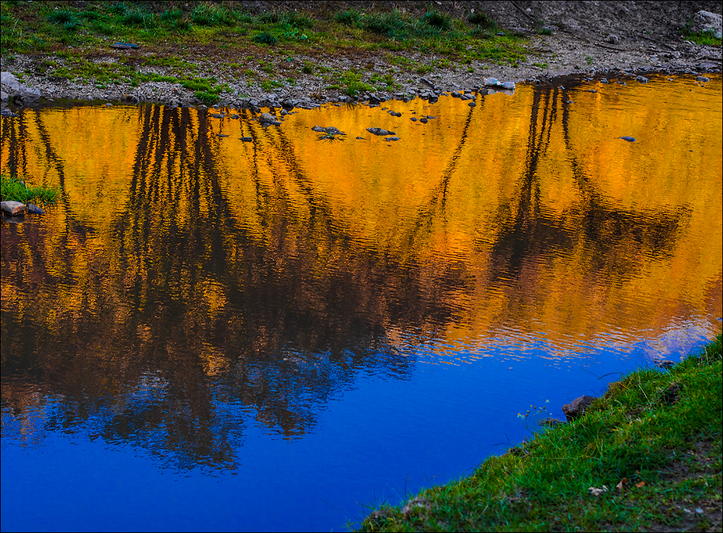 Corjeuti Fetesti 20172016122643