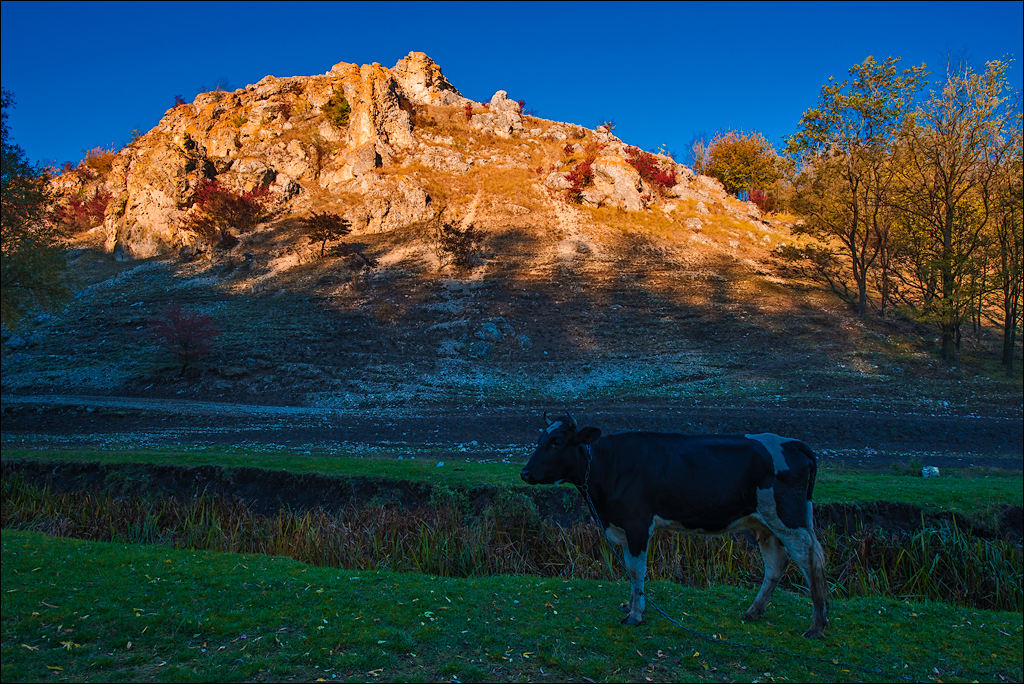Corjeuti Fetesti 20172016122647