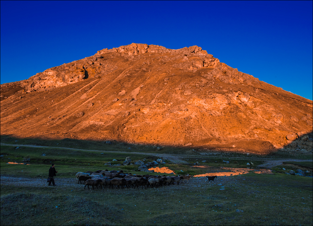 Corjeuti Fetesti 20172016122652