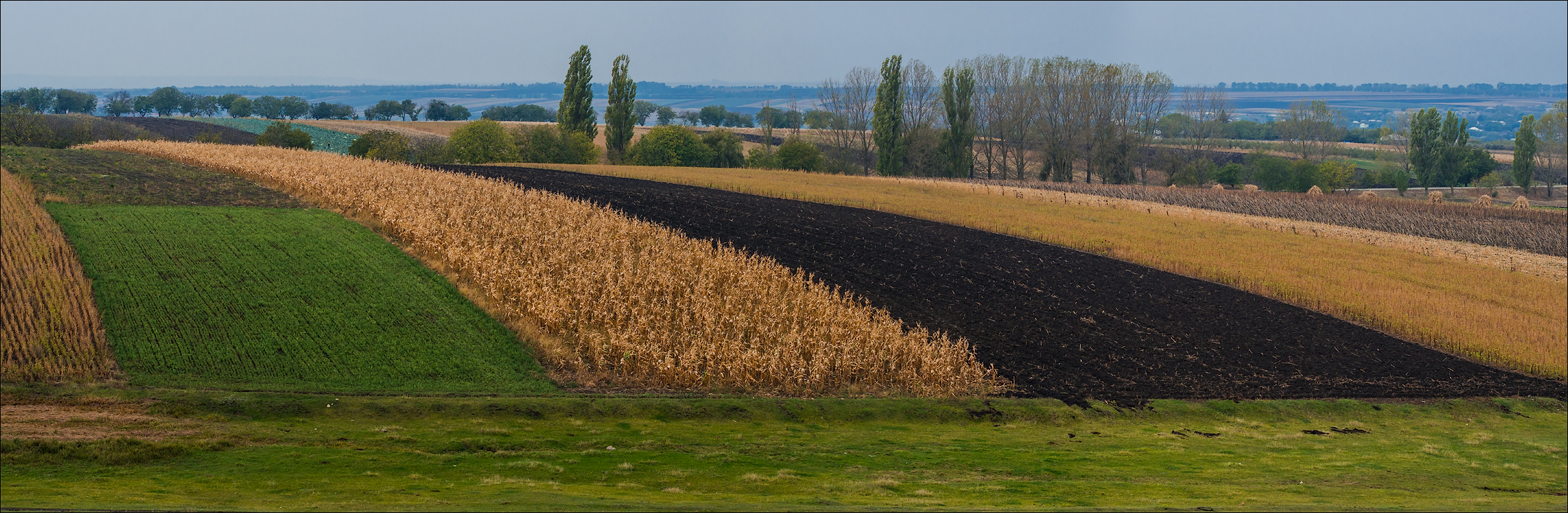 Corjeuti Fetesti 20172016122662