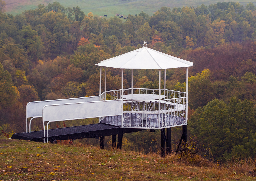 Corjeuti Fetesti 20172016122664