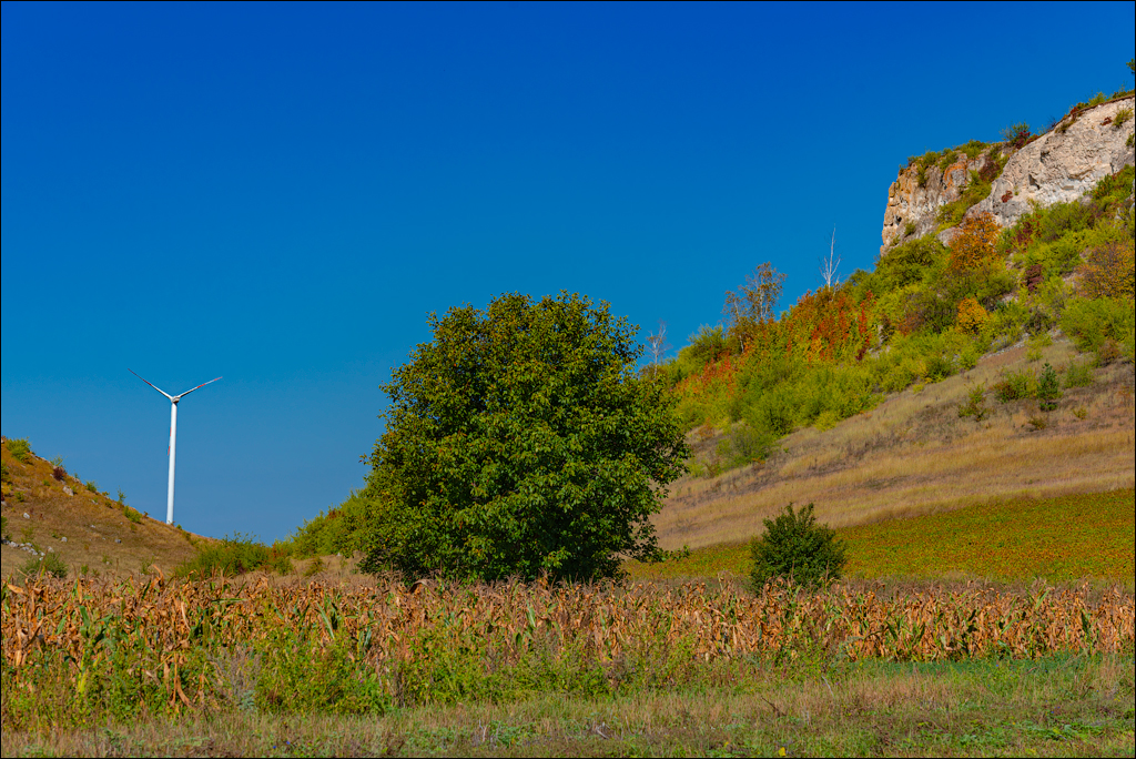Trinca Gordinesti 24 25sep2022 126