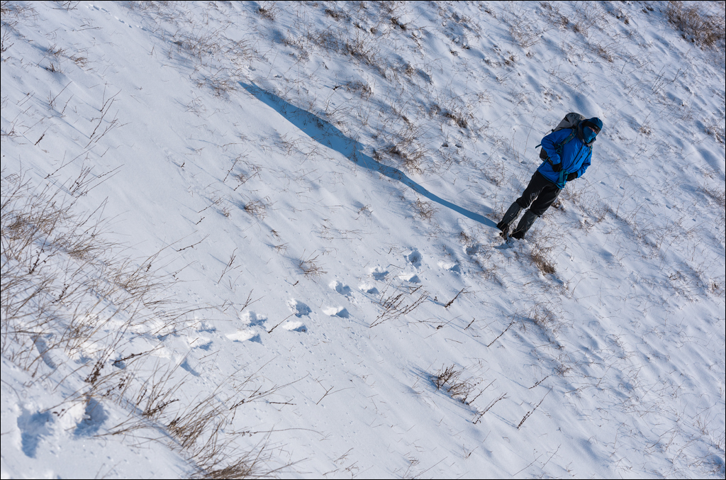 Tipova Mar 20180310009