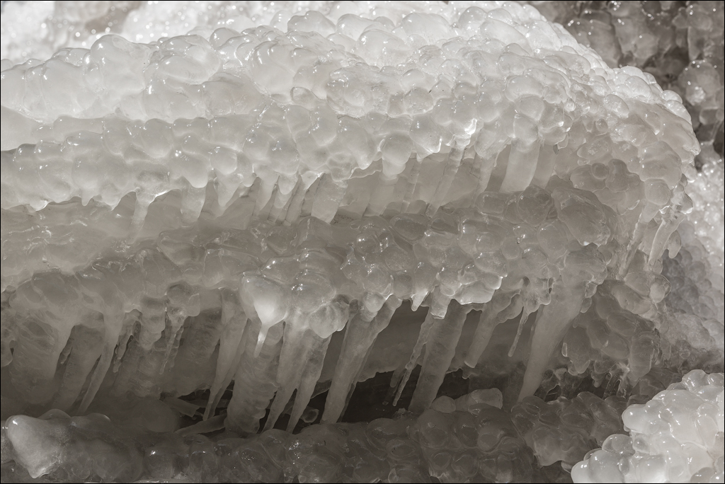 Tipova Mar 20180310024