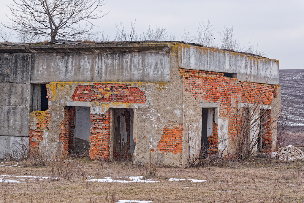 Tipova 22 23feb2025 124