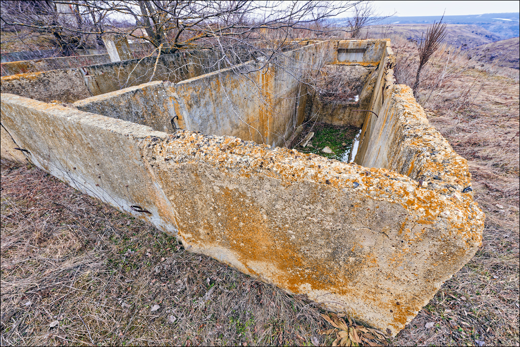 Tipova 22 23feb2025 128