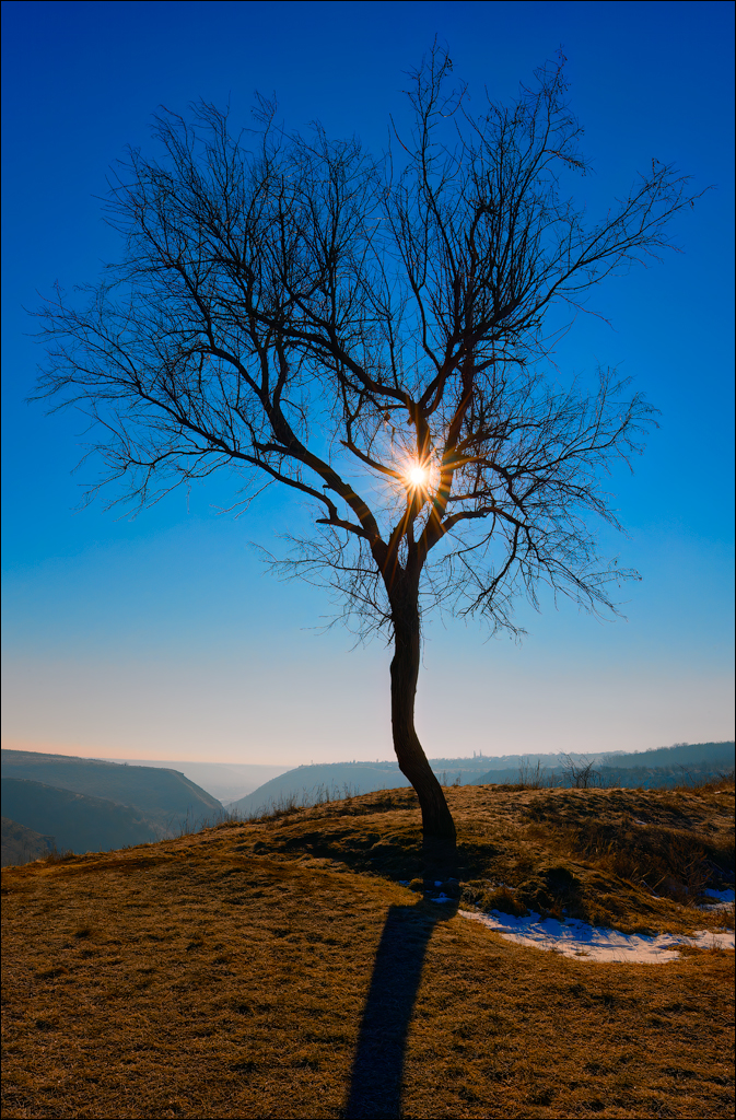 Tipova 22 23feb2025 160