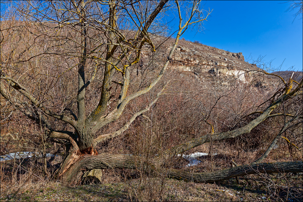 Tipova 22 23feb2025 178