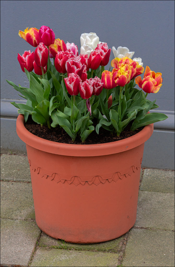 Amsterdam 20220425 154