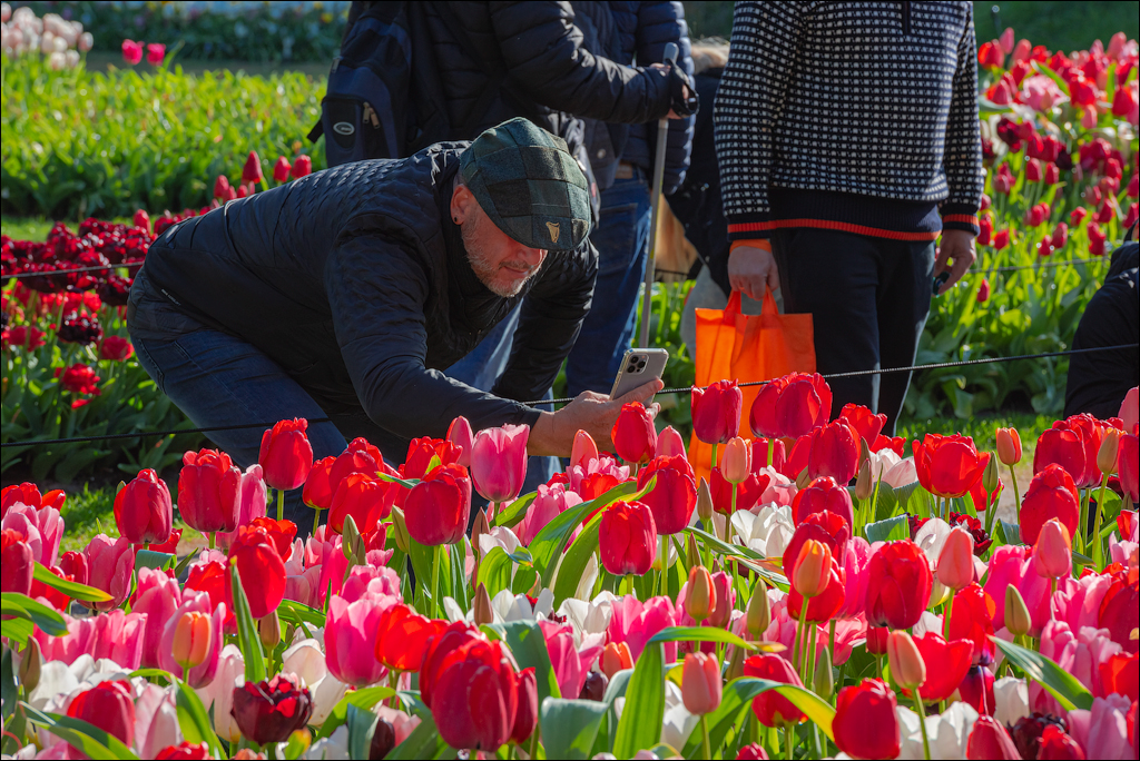 Amsterdam 202204261108