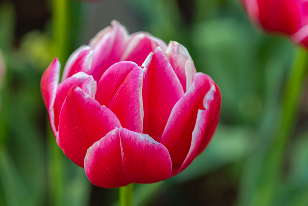 Amsterdam 202204261110