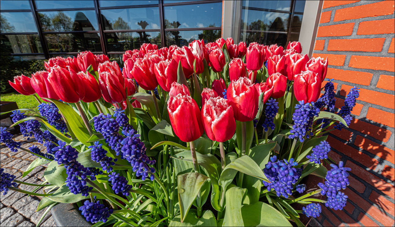 Amsterdam 202204261112