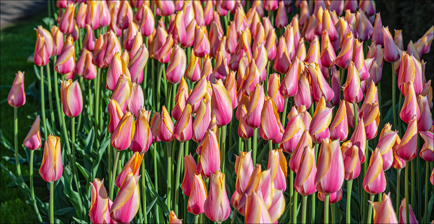 Amsterdam 202204261115