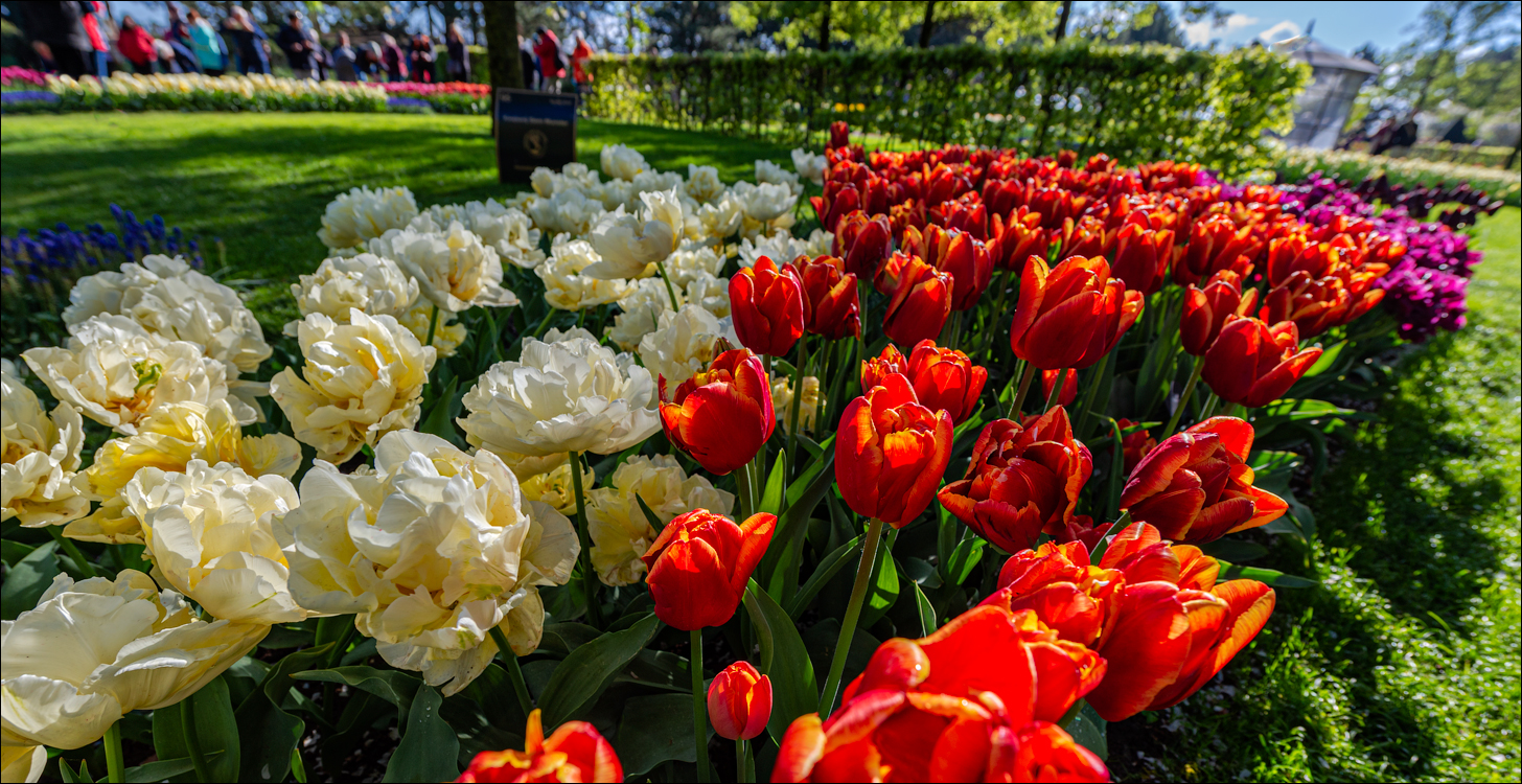 Amsterdam 202204261125