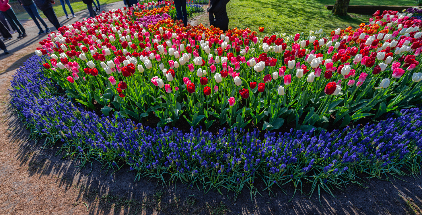 Amsterdam 202204261126