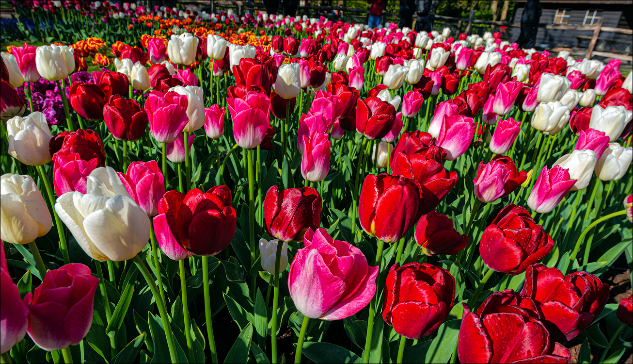 Amsterdam 202204261129