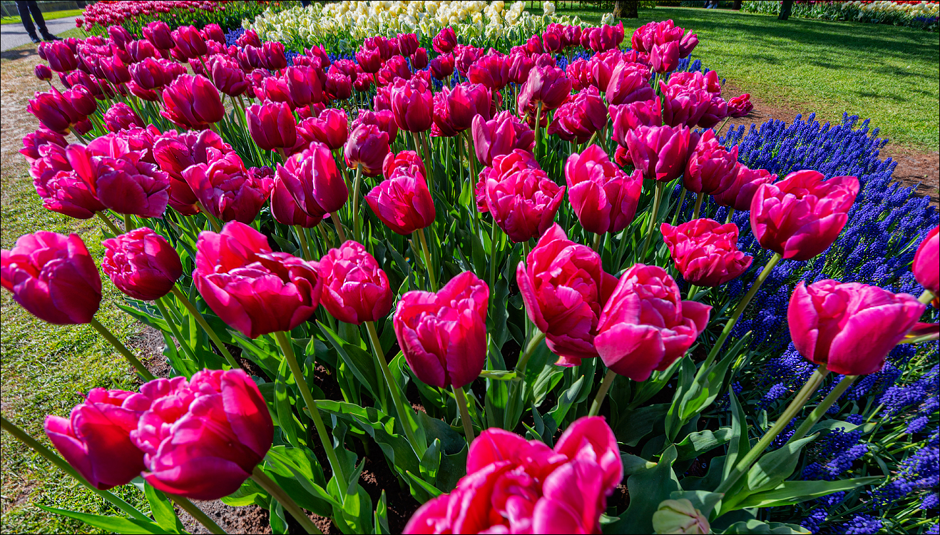 Amsterdam 202204261134