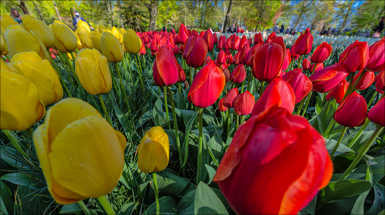 Amsterdam 202204261135