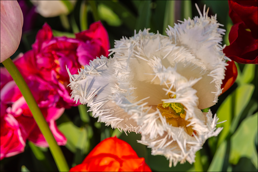 Amsterdam 202204261153