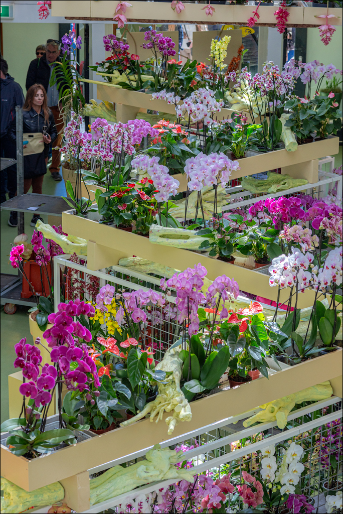 Amsterdam 202204261164