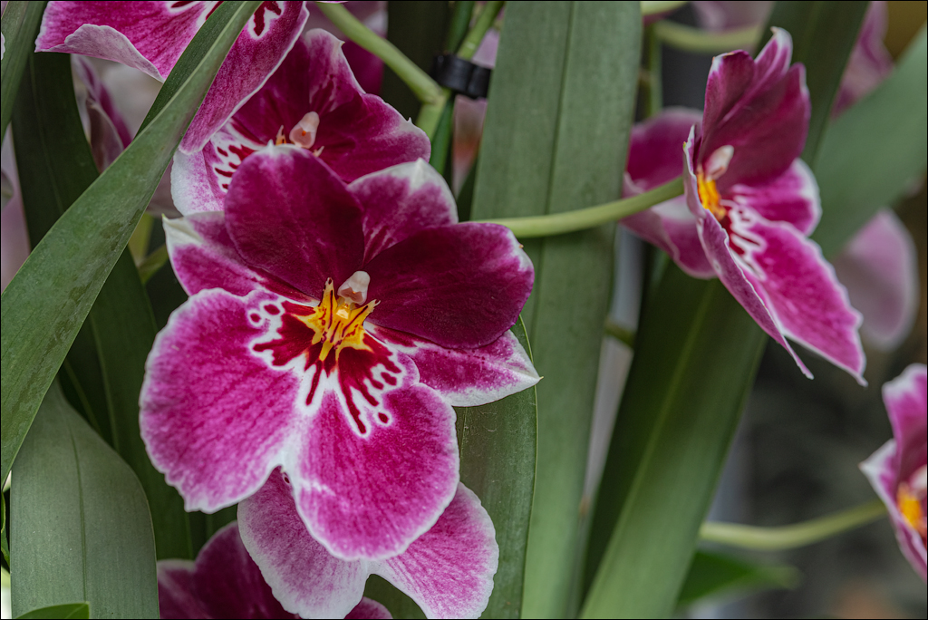 Amsterdam 202204261175