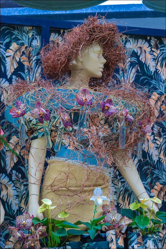 Amsterdam 202204261176