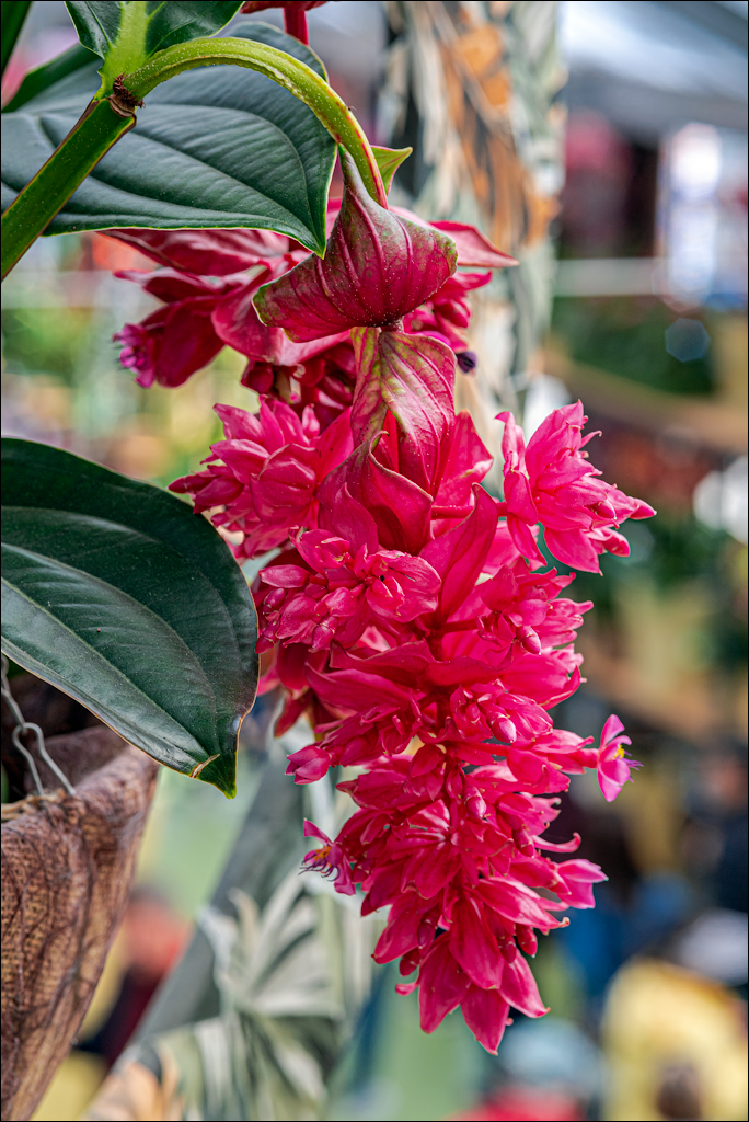 Amsterdam 202204261177