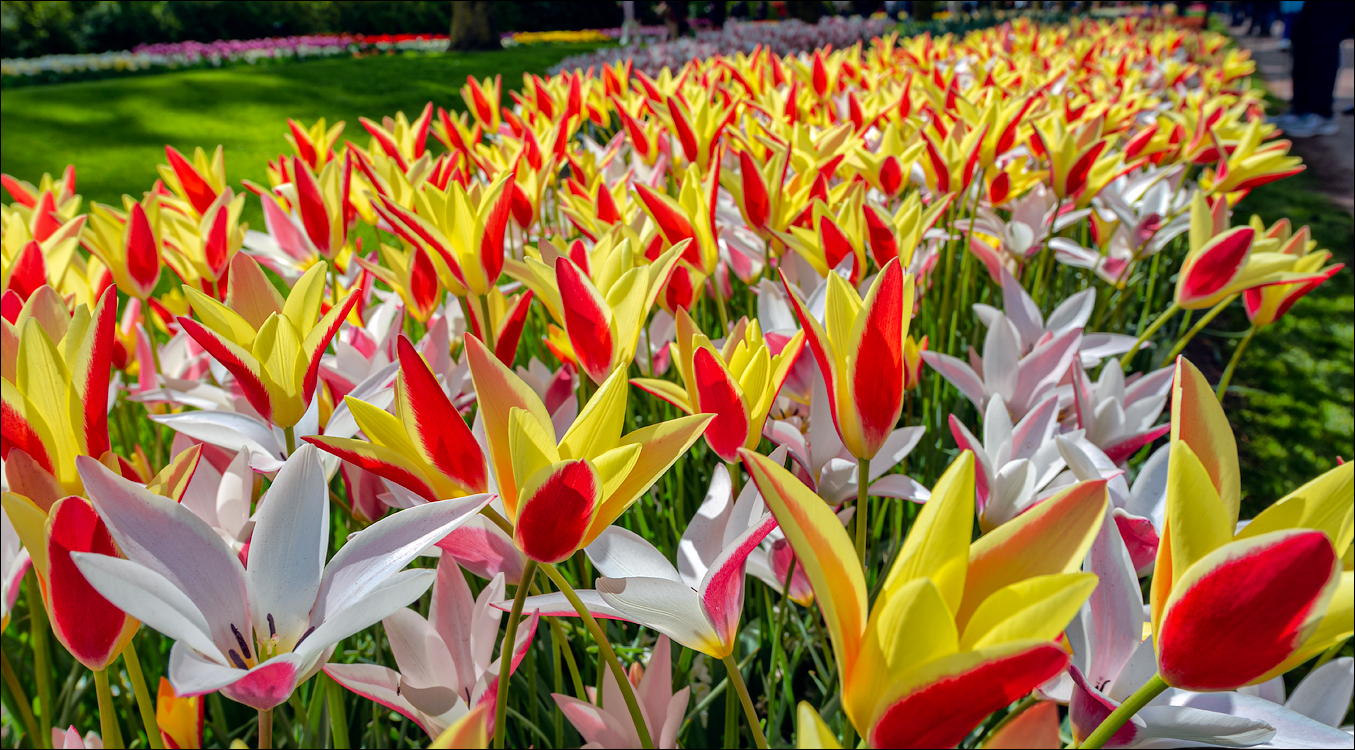 Amsterdam 202204261192