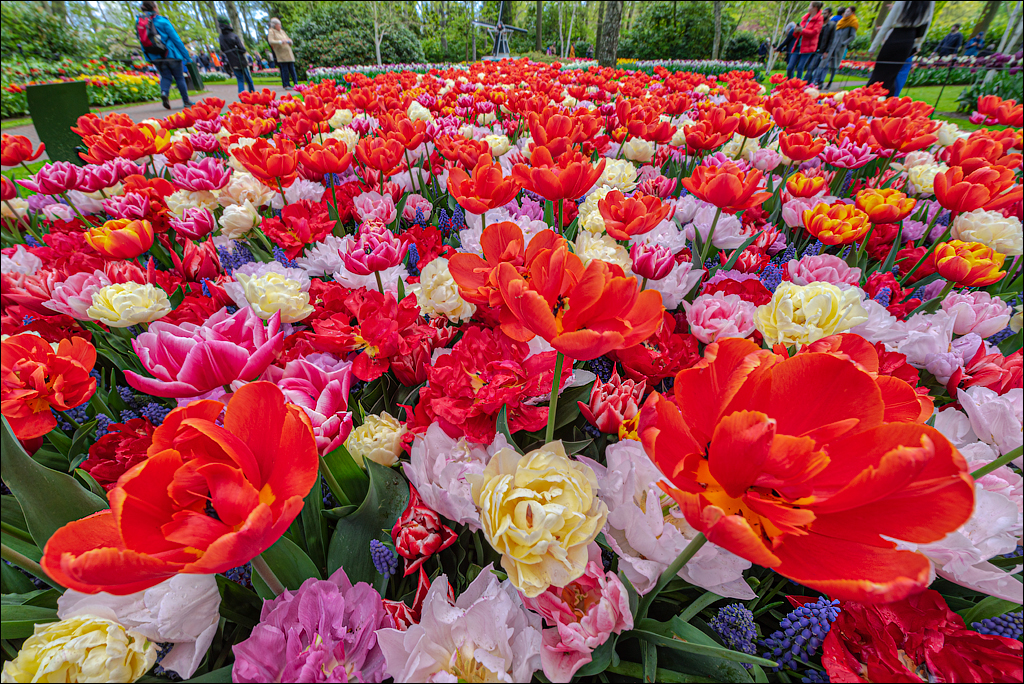 Amsterdam 202204262101